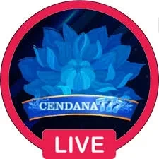 Review Lengkap Aplikasi cendana777 Terbaru dan toto12: Rangkuman Brand yang Banyak Dicari